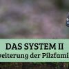 Das System II