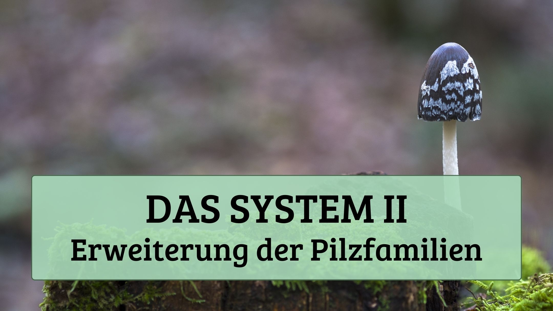 Das System II