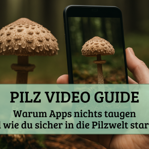Pilz Video Guide