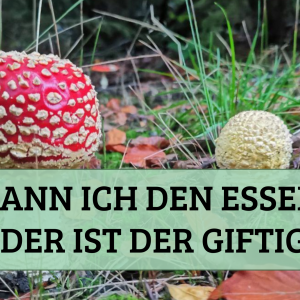 Masterclass: Kann ich den essen oder ist der giftig?