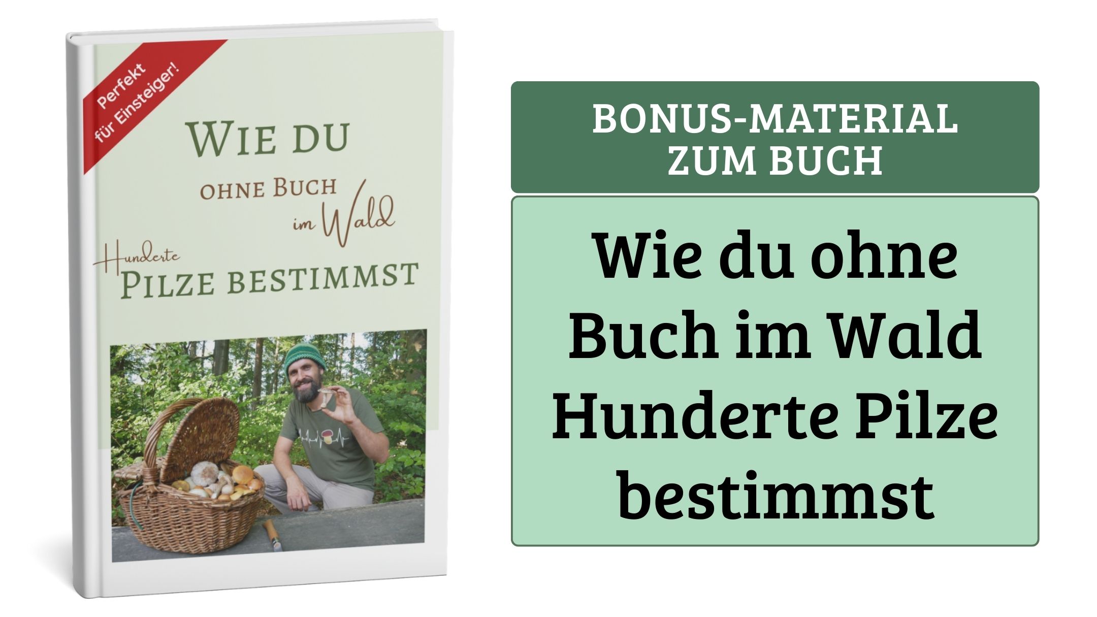 Buch: „Wie du ohne Buch im Wald Hunderte Pilze bestimmst“ (Bonusmaterial)